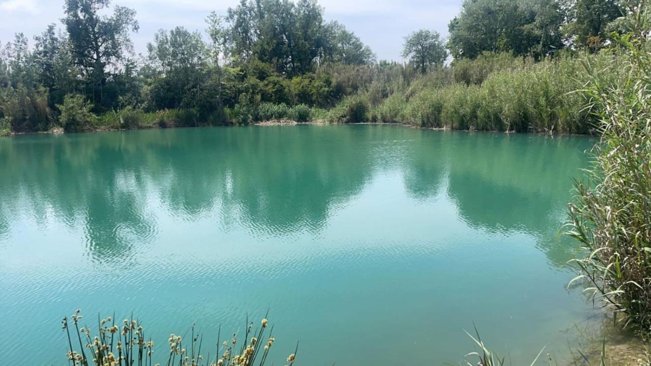 Campingplatz Mobilhome 228 Proche Du , Tv , Clim Ect 4 Etoiles La Roque-d'Antheron